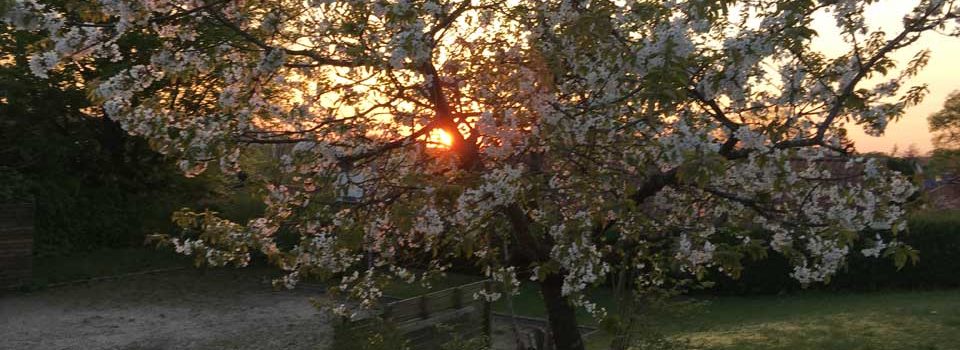 Solnedgang over legepladsen i Garnervænget